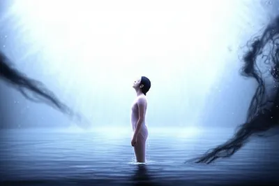 Illustration purging - Image 1