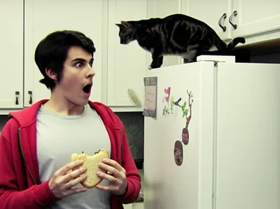 Illustration aback - Image 1