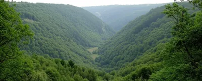 Illustration combe - Image 1