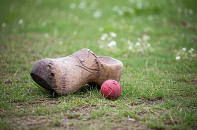 Illustration traps - Image 1