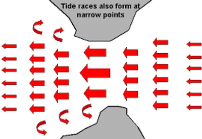 Illustration race - Image 2