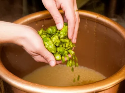 Illustration brewed - Image 1