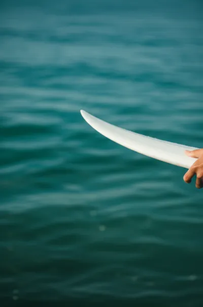 Illustration rails - Image 1