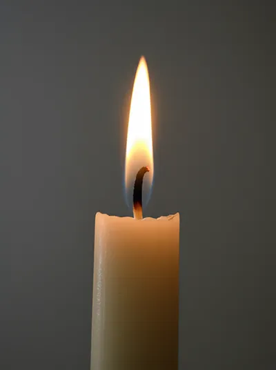 Illustration taper - Image 1