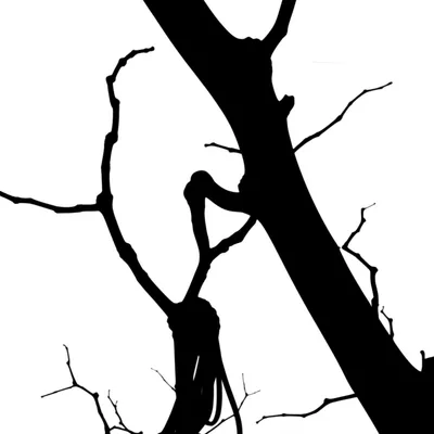 Illustration interfered - Image 1