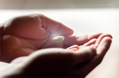 Illustration holding - Image 1