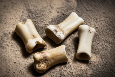 Illustration knucklebones - Image 1