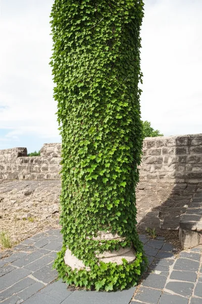 Illustration wreathed - Image 2