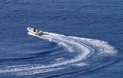 Illustration haul - Image 4