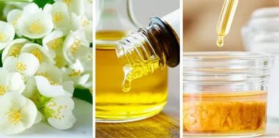 Illustration absolutes - Image 1