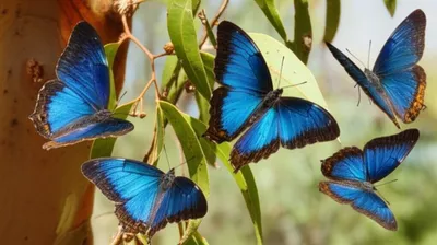 Illustration azure - Image 1