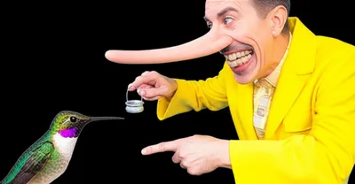 Illustration hummers - Image 1