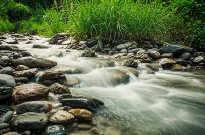 Illustration quickest - Image 1