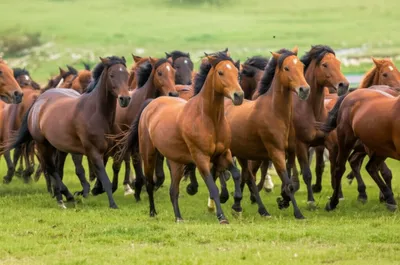 Illustration str - Image 1