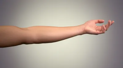 Illustration extends - Image 1