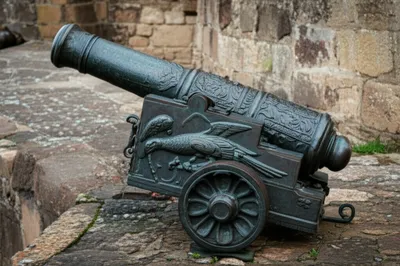 Illustration falconet - Image 1