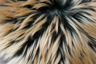 Illustration carpet - Image 1