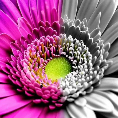 Illustration gray - Image 1