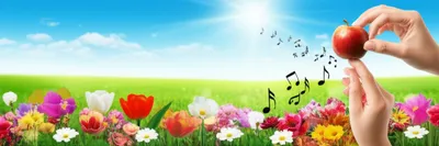 Illustration modalities - Image 1