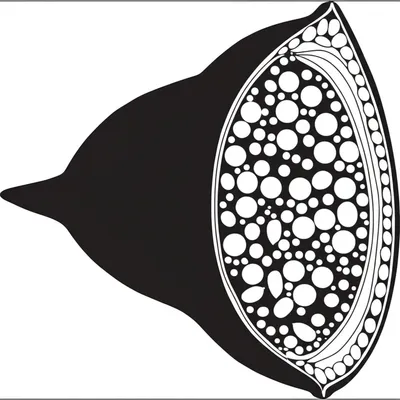 Illustration pod - Image 1