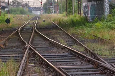 Illustration single - Image 3