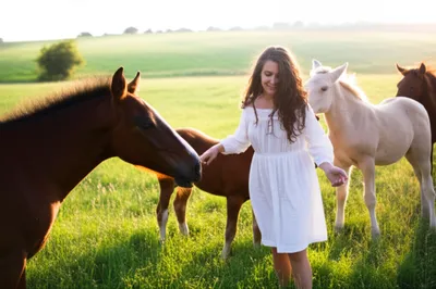 Illustration fillies - Image 1