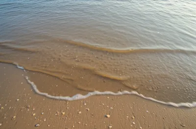 Illustration pullback - Image 1