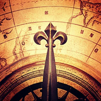 Illustration lilies - Image 1