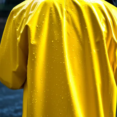 Illustration slicker - Image 1