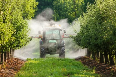 Illustration sprays - Image 1