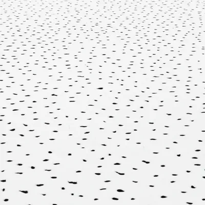 Illustration ermine - Image 1