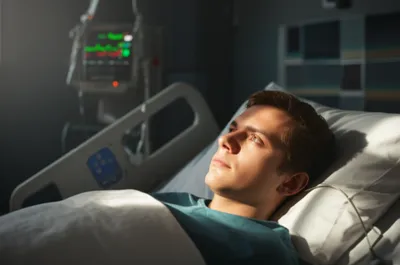 Illustration vegetative - Image 1