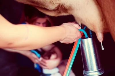 Illustration letdown - Image 1