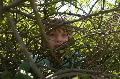 Illustration occluded - Image 1