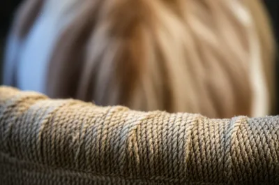 Illustration horsehair