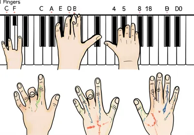 Illustration finger - Image 1