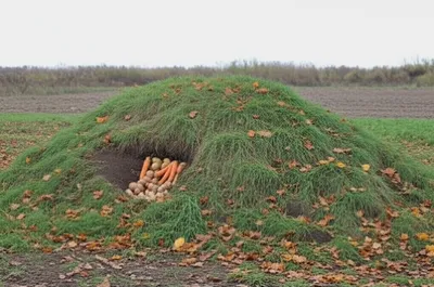 Illustration camp - Image 1