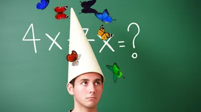 Hình ảnh minh họa dumbass