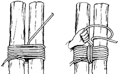 Illustration lash - Image 2