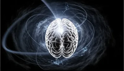 Illustration incubation - Image 1