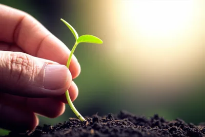 Illustration meaning - Image 1