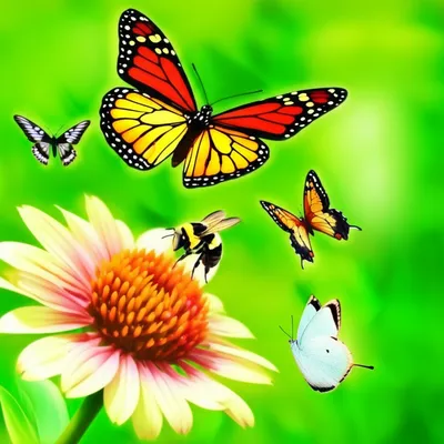 Illustration attracts - Image 1