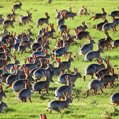 Illustration drove - Image 1