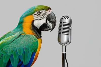 Illustration repeater - Image 1