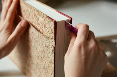 Illustration papers - Image 1