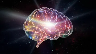 Illustration perceptions - Image 1