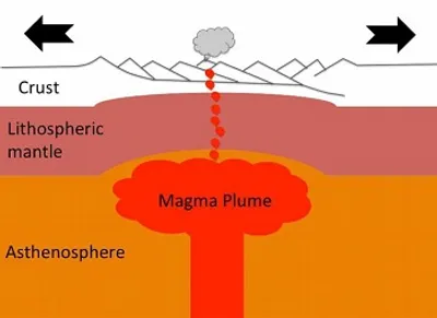 Illustration plume - Image 2
