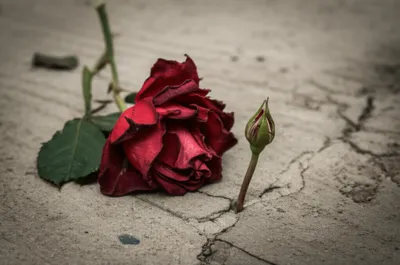 Illustration abuse - Image 1