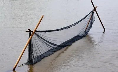 Illustration brails - Image 1