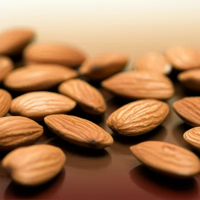 Illustration almond - Image 1